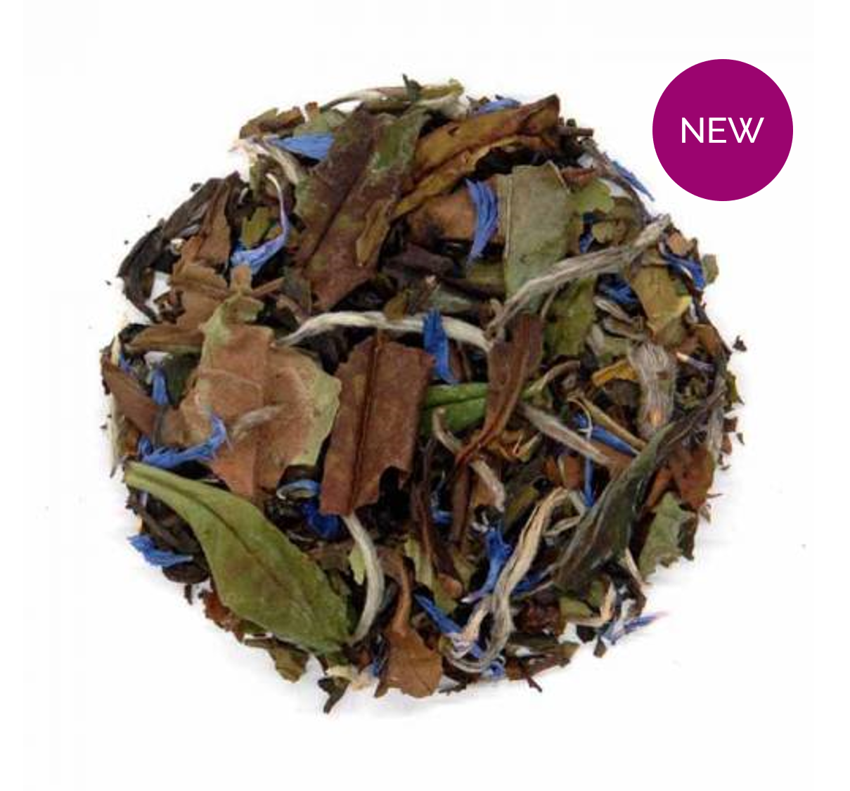 Wild Blueberry - White Tea