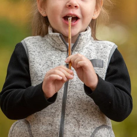 Wildflower Honey Stick